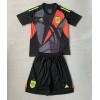 Spanien Torwart Heimtrikot EM 2024 Kurzarm (+ kurze hosen)